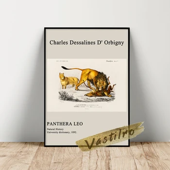 Плакат со Львом Шарля Дессалина Д'Орбиньи, Иллюстрация Льва (Panthera Leo), Винтажное Изображение Животного На стене, Декор Стен Гостиной